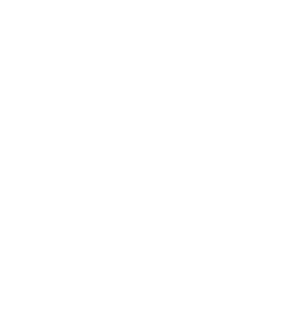 Icono de America latina