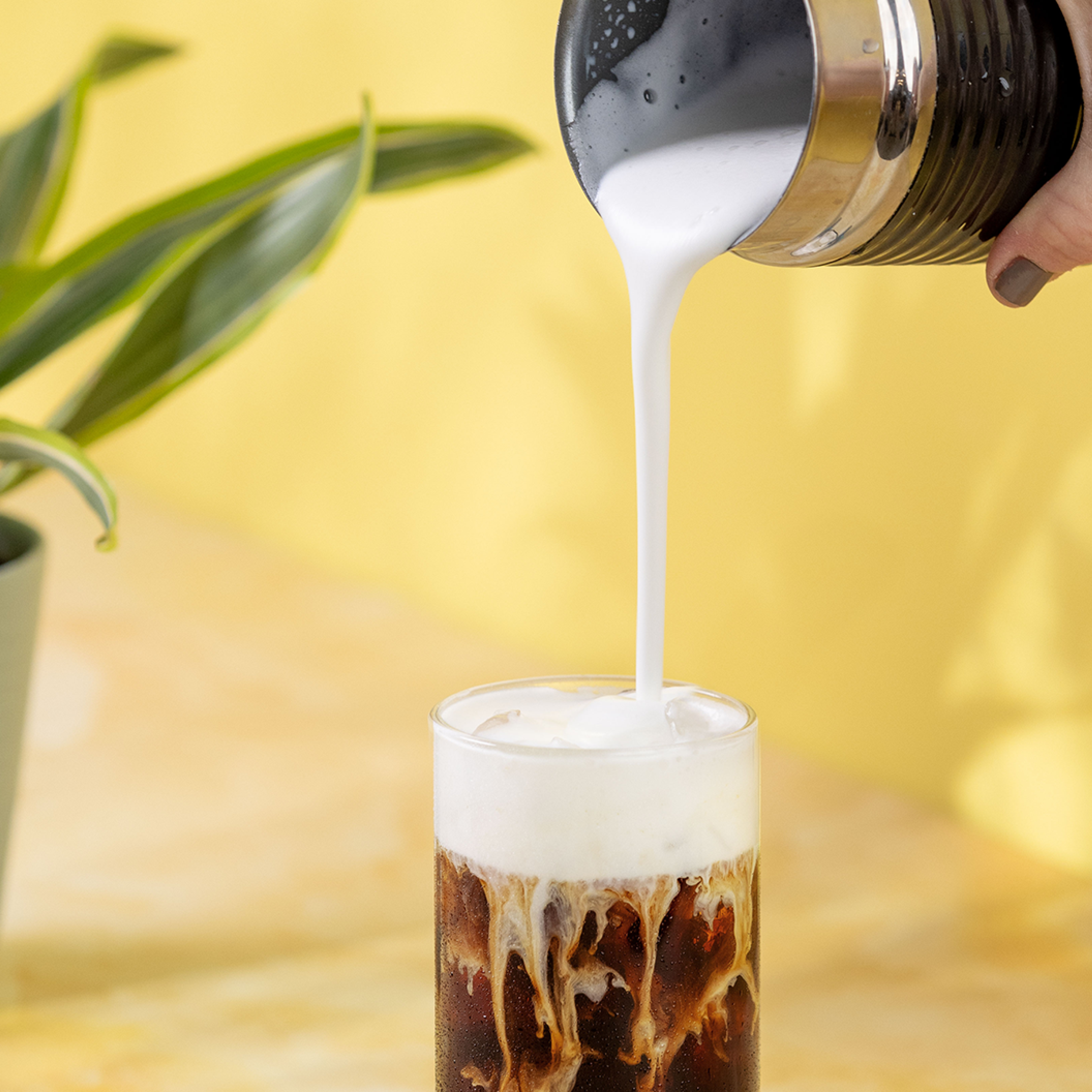 Vanilla Iced Coffee with Cake Batter Foam 